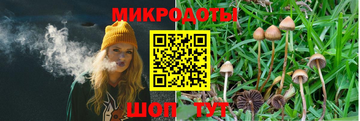 COCAIN Ачхой-Мартан