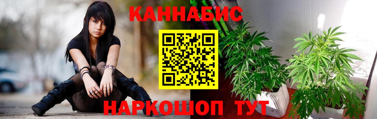 Марихуана конопля  Каннабис OG Kush  Канабис Bruce Banner  Ачхой-Мартан  Вход с VPN 